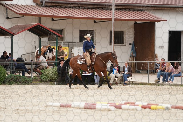 sA9K08773.JPG